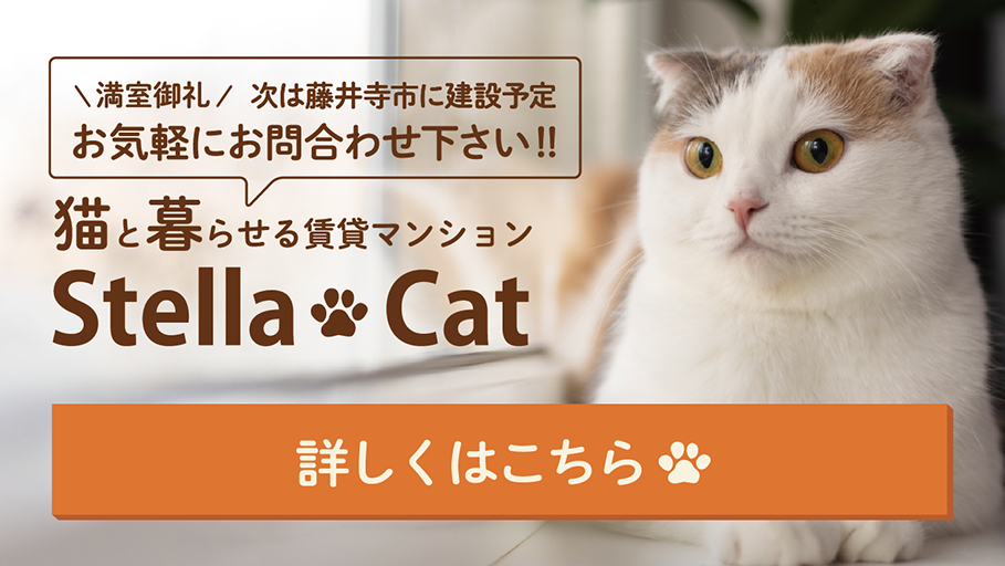 猫と暮らせる賃貸マンション StellaCat 入居者募集中！！